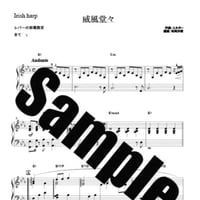 39.威風堂々（３４弦レバーハープソロ）