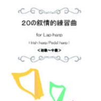 23.２０の叙情的練習曲（初級～中級）（小型・34弦共通譜）