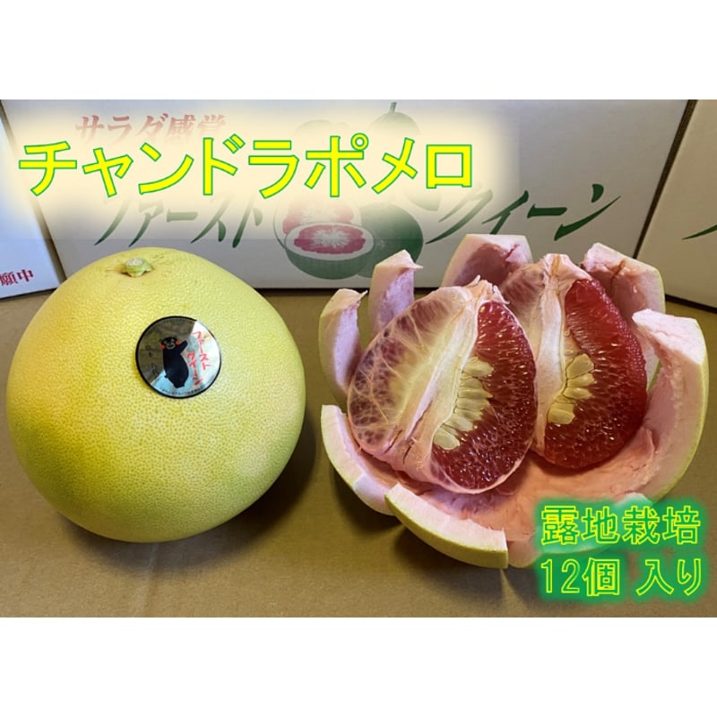 チャンドラポメロ 露地栽培品 12個 | 瀧川果樹園オンラインショップ
