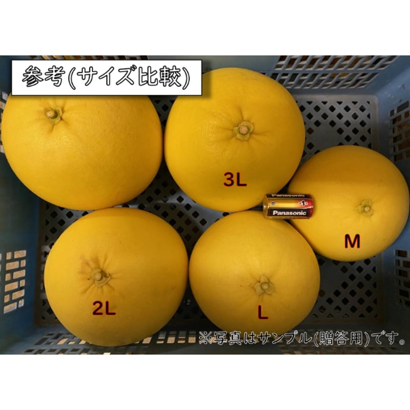 晩白柚 5~6個 | 瀧川果樹園オンラインショップ