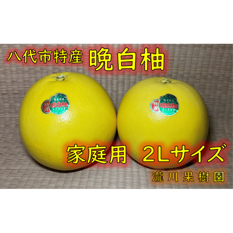 晩白柚 家庭用 2Ｌサイズ | 瀧川果樹園オンラインショップ