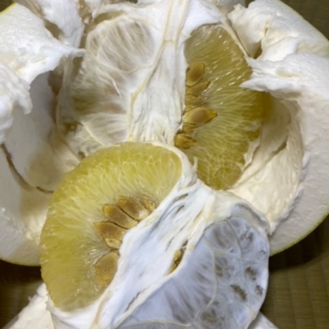 晩白柚☆様×4 晩白柚（ばんぺいゆ） 4玉 秀 熊本八代産 3L玉（特大（超大玉