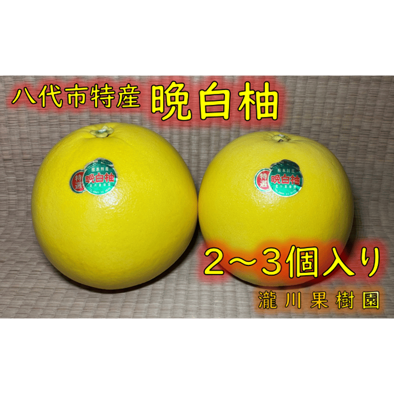 晩白柚 2個 約3.17kg 晩白柚2Lサイズ1玉入 約2kg【熊本県産】八代特産品 ばんぺいゆ