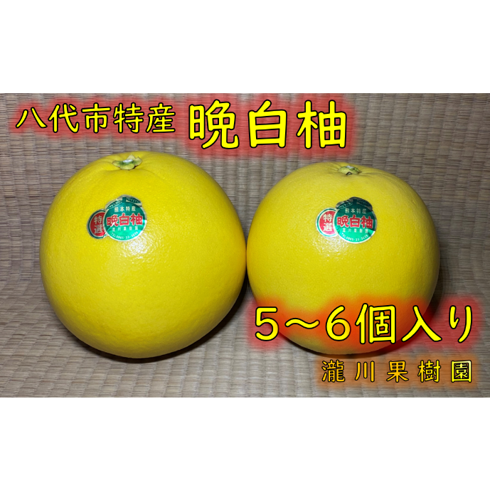 晩白柚 5~6個 | 瀧川果樹園オンラインショップ