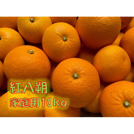 はっさく | STORES