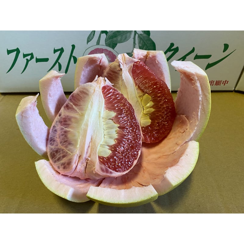 チャンドラポメロ 露地栽培品 12個 | 瀧川果樹園オンラインショップ