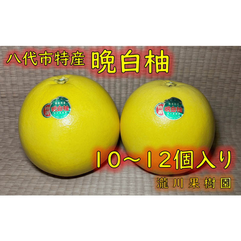 晩白柚☆様×4 送料無料】熊本特産品 八代地区氷川町産