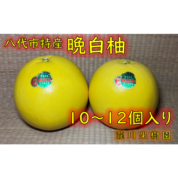 晩白柚 楽天市場】【送料無料】 熊本県産 ハウス 晩白柚 （ばんぺいゆ