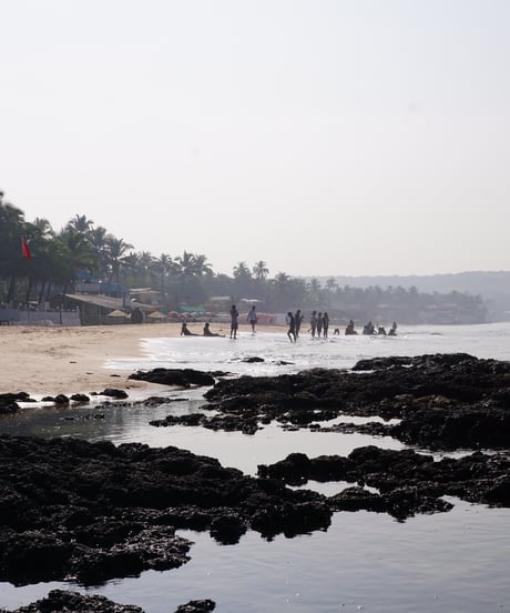 〈01 / Trip to Goa〉 chai masala