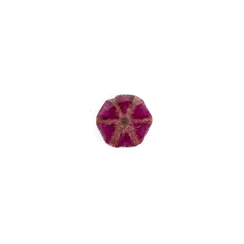 ミャンマー・モゴック産】 トラピッチェルビー 0.25ct | まるむ商会
