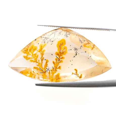 【景色を宿したクォーツ】デンドリティッククォーツ 17.05ct