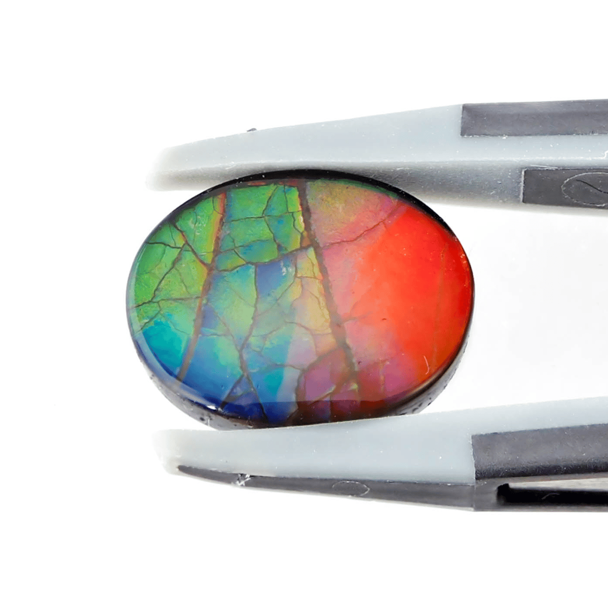 古代の輝きをルースに】アンモライト 3.0ct | まるむ商会