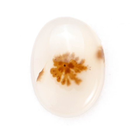 【可愛らしいインクルージョン】デンドリティックアゲート  11.3ct