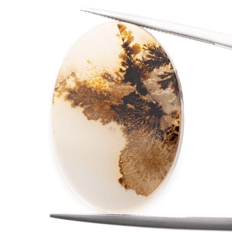 景色を閉じ込めた石】デンドリティックアゲート 10.55ct | まるむ商会