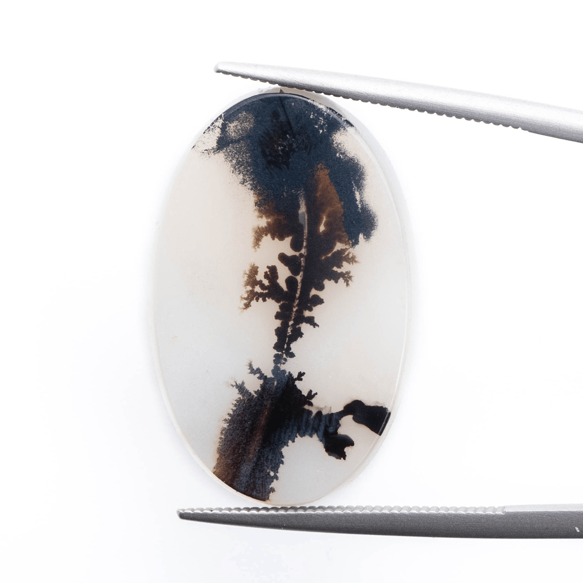 景色を閉じ込めた石】デンドリティックアゲート 8.70ct | まるむ商会