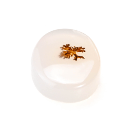 【可愛らしいインクルージョン】デンドリティックアゲート 12.45ct