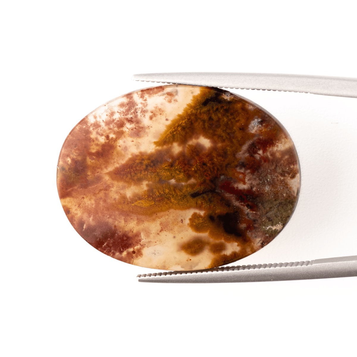 華やかインクルージョンの世界】ランドスケープアゲート 14.0ct | まる