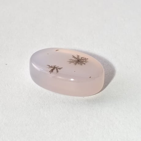 【石に咲く花】デンドリティックアゲート  12.2ct