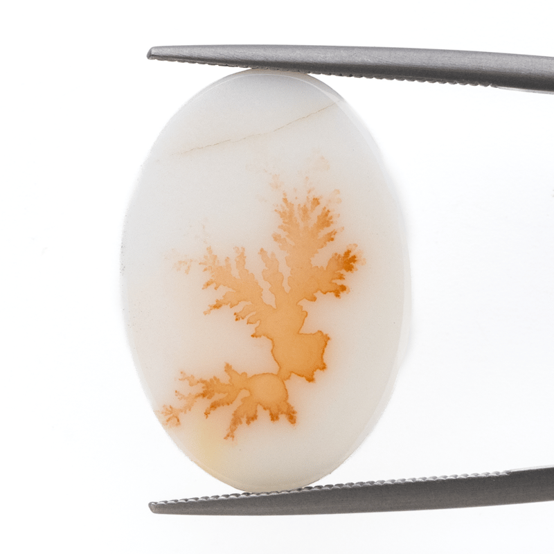 景色を閉じ込めた石】デンドリティックアゲート 6.05ct | まるむ商会
