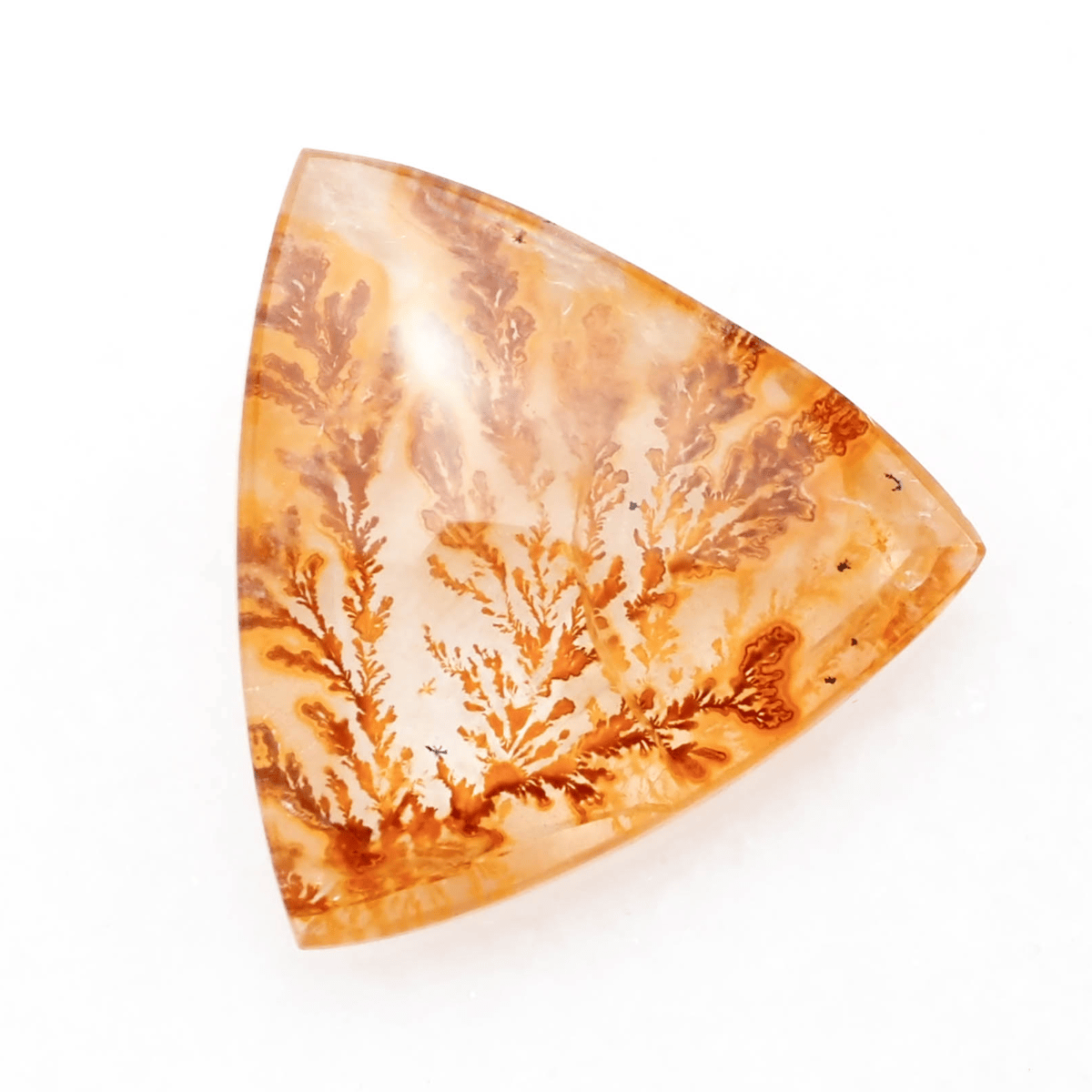 景色を宿したクォーツ】デンドリティッククォーツ 10.55ct | まるむ商会