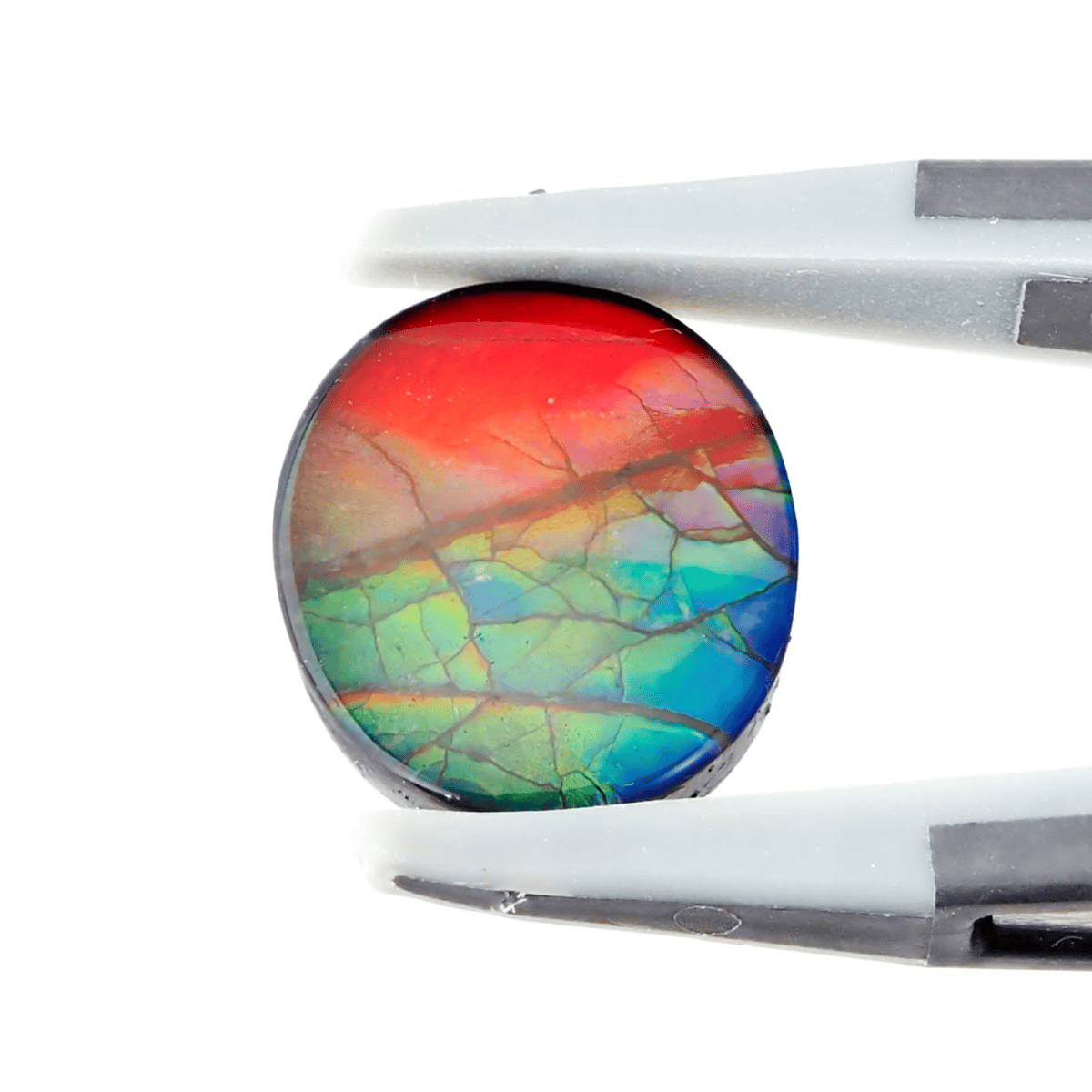 カナダ産 ハート型 アンモライトルース N210