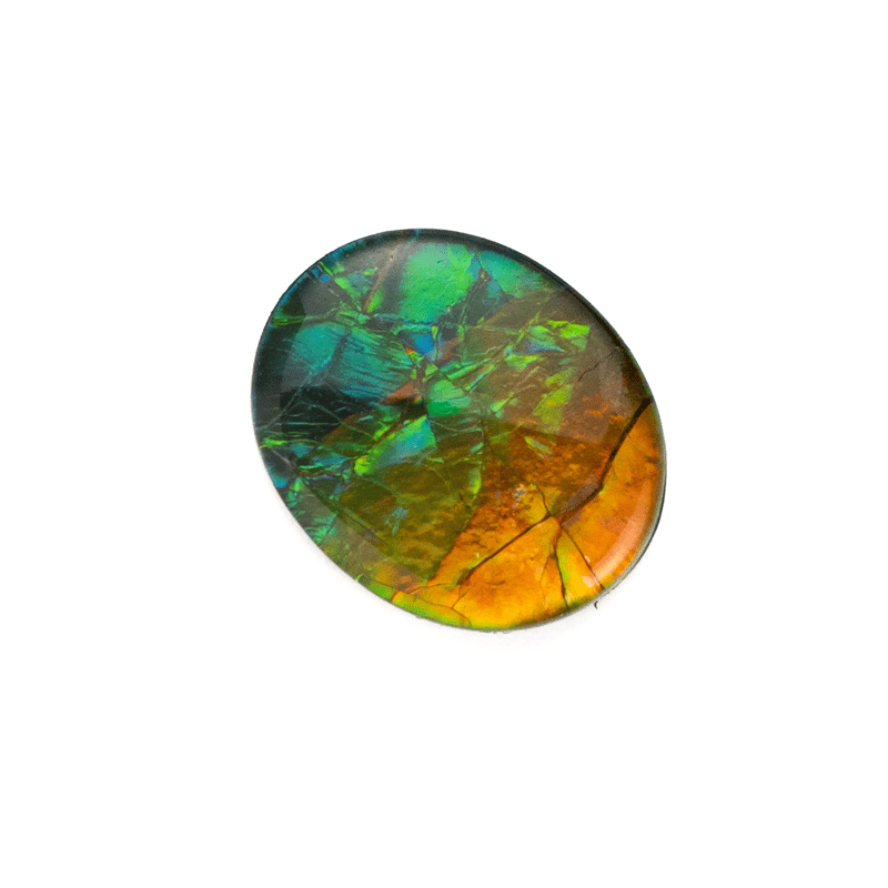 古代の輝きをルースに】アンモライト 3.3ct | まるむ商会 古代の輝きをルースに】アンモライト 3.3ct | まるむ商会