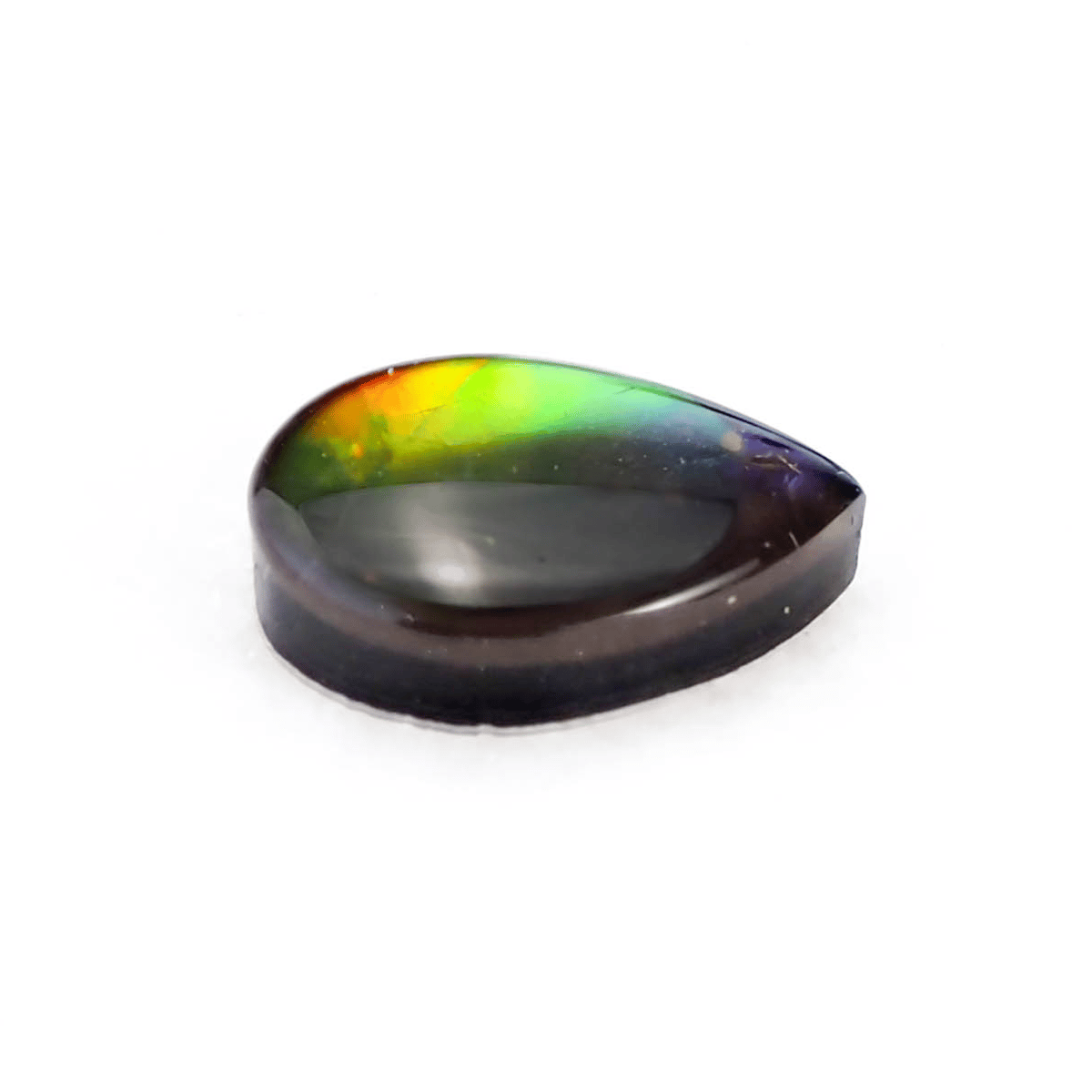 古代の輝きをルースに】アンモライト 1.75ct | まるむ商会