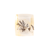 【景色を宿したクォーツ】デンドリティッククォーツ 3.65ct