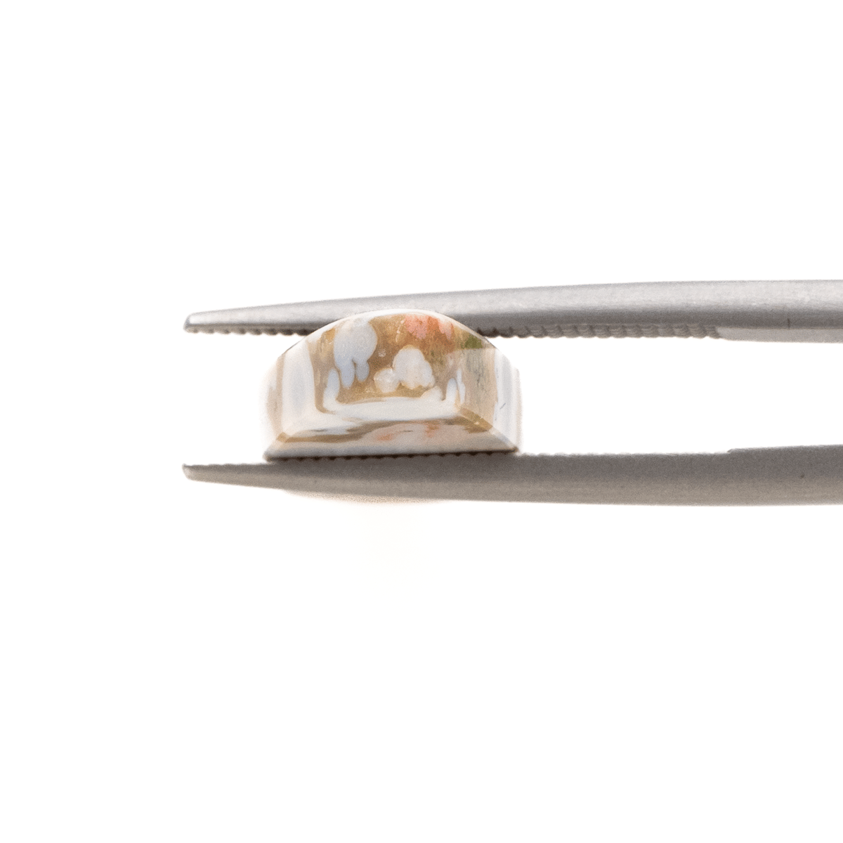 海の宝石・オーシャンジャスパー】オーシャンジャスパー 11.55ct