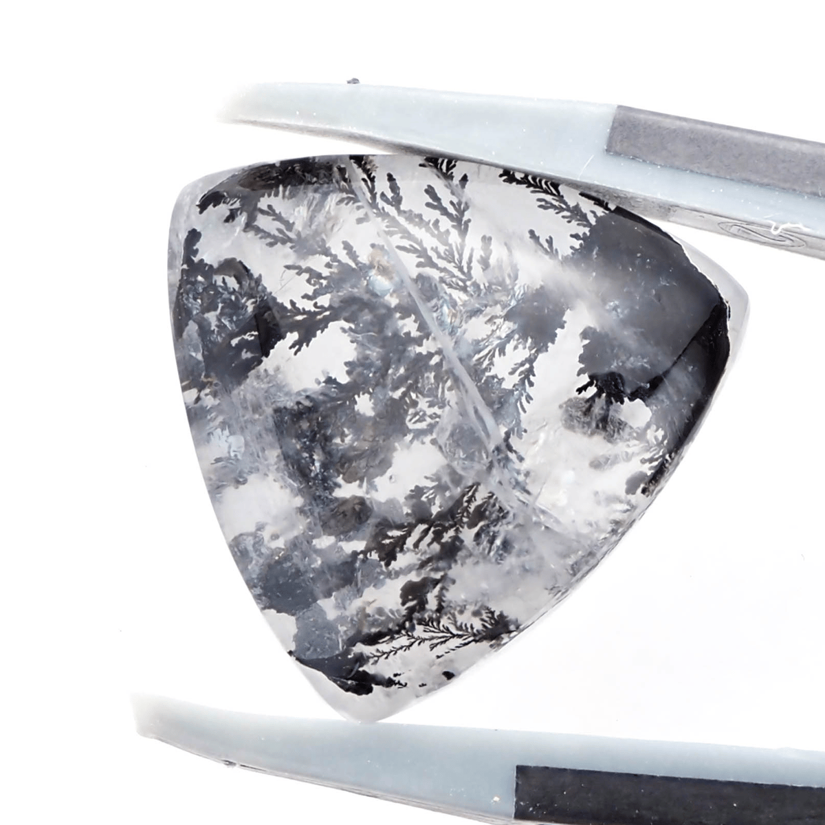 迫力のブラックインクルージョン】デンドリティッククォーツ 9.50ct
