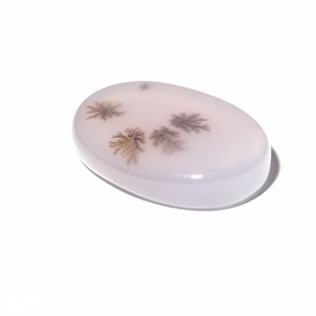 【植物を閉じ込めた？】デンドリティックアゲート  8.85ct