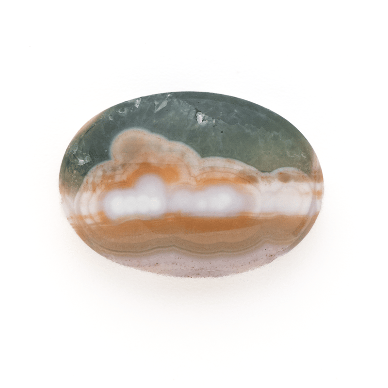 オーシャンジャスパー ホワイトダルメシアン オーシャンジャスパー ホワイトダルメシアン