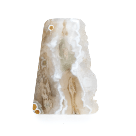 CATEGORY オーシャンジャスパー | まるむ商会