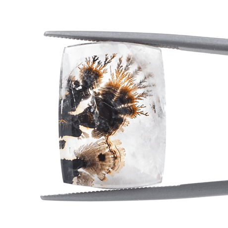 【景色を宿したクォーツ】デンドリティッククォーツ 22.0ct