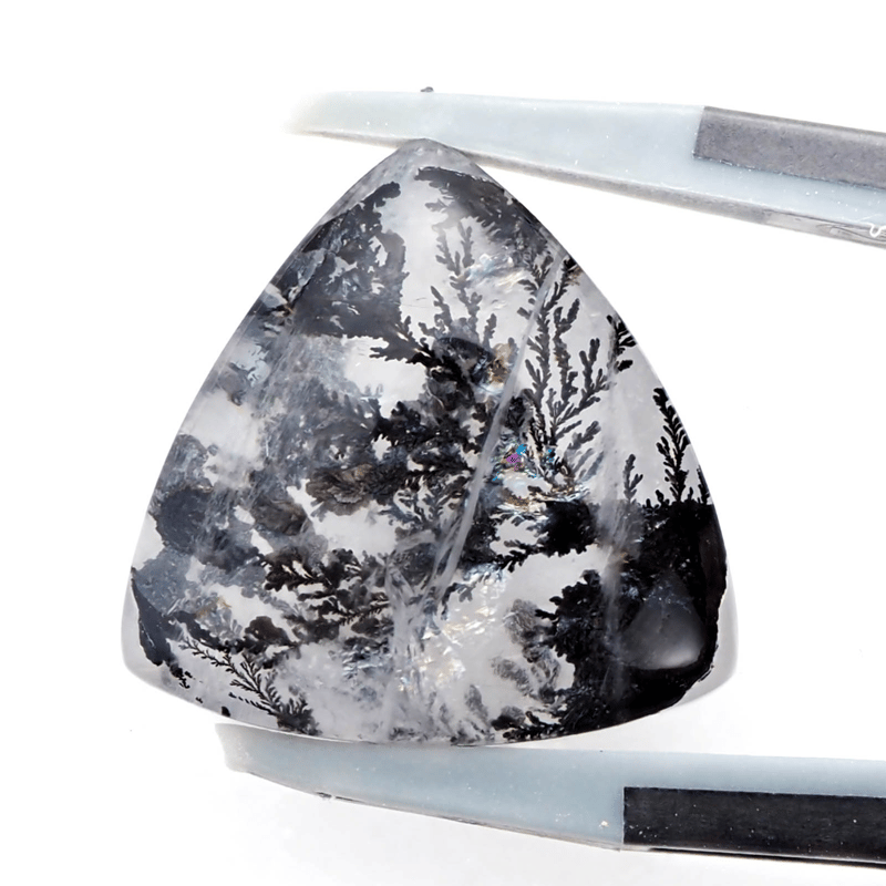 迫力のブラックインクルージョン】デンドリティッククォーツ 9.50ct