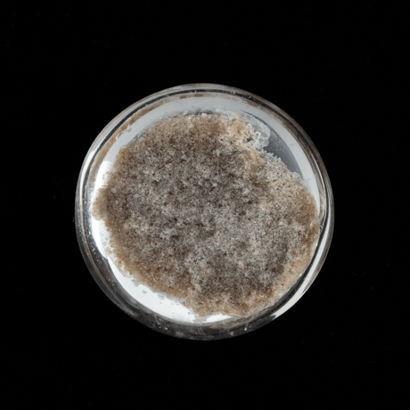 【魅惑のインクルージョン】ガーデンクォーツ 46.50ct