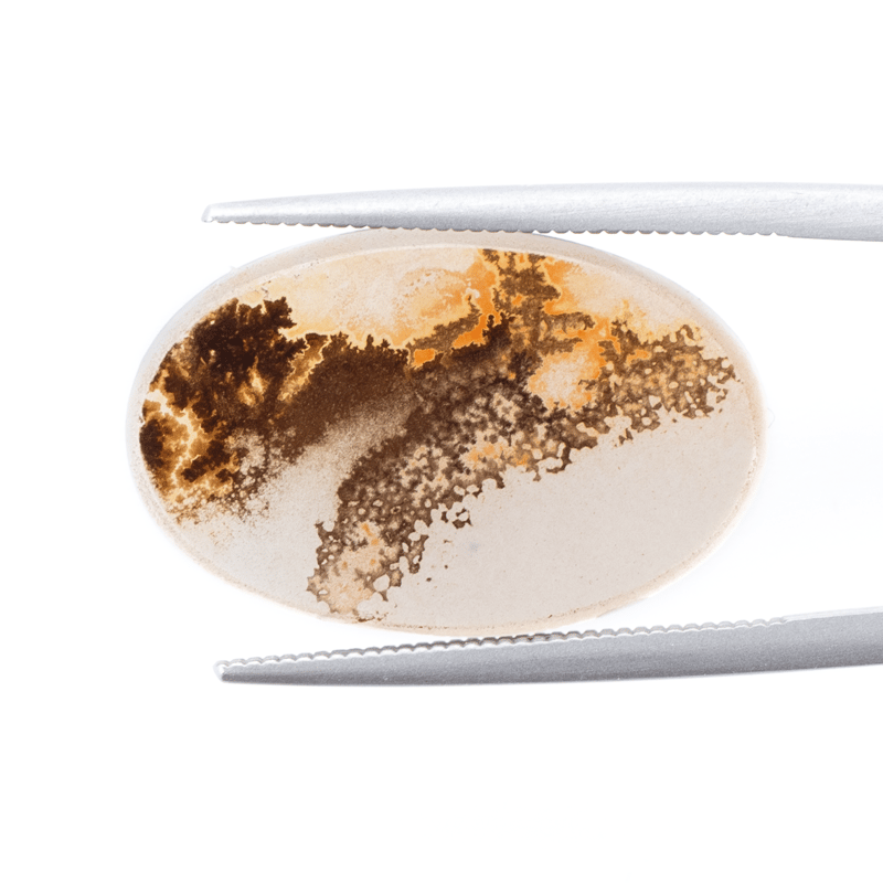 景色を閉じ込めた石】デンドリティックアゲート 6.45ct | まるむ商会
