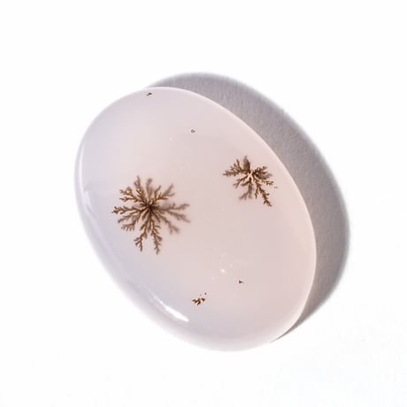 【石に咲く花】デンドリティックアゲート  12.2ct