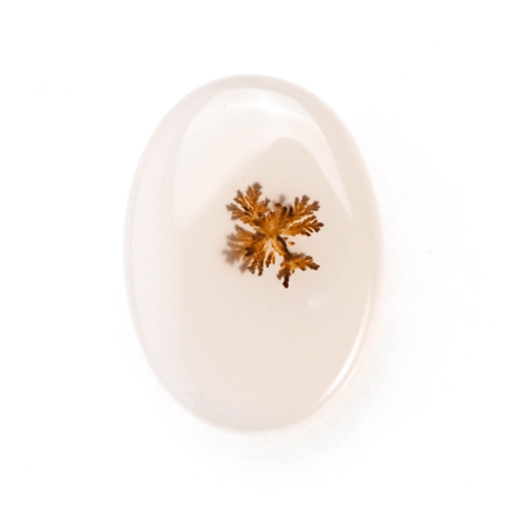 【可愛らしいインクルージョン】デンドリティックアゲート 12.45ct