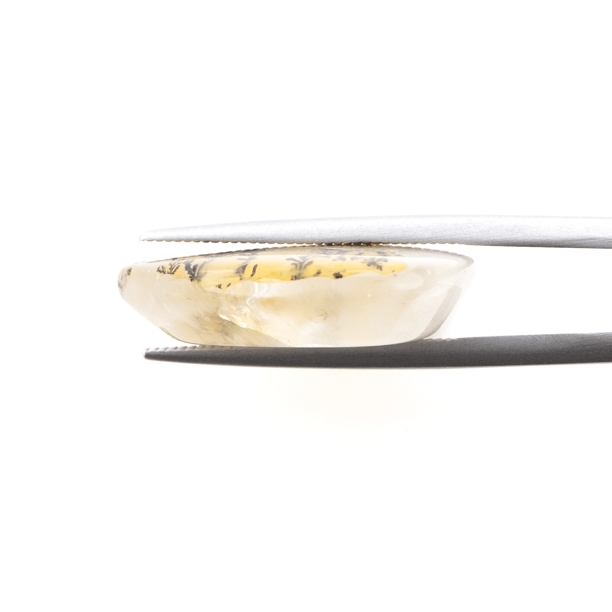 華やかな個性を感じさせる】デンドリティッククォーツ 25.55ct | まる