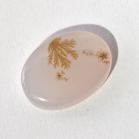 【石に咲く花】デンドリティックアゲート  10.5ct