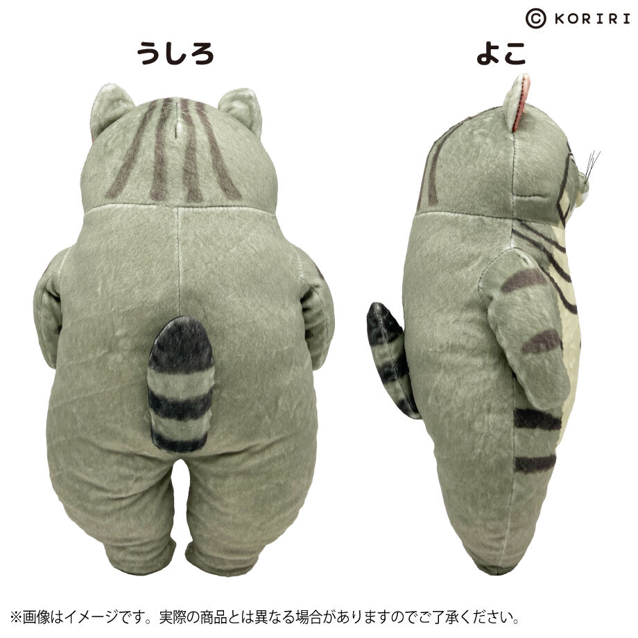 世にも不思議な猫世界 ぬいぐるみ(春男) | SUNPLAZASHOP