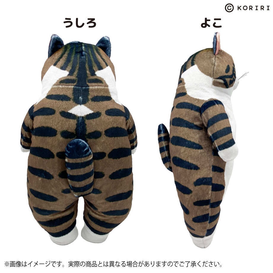 世界　ぬいぐるみ 世にも不思議な猫世界 ぬいぐるみ(みかん) | SUNPLAZASHOP