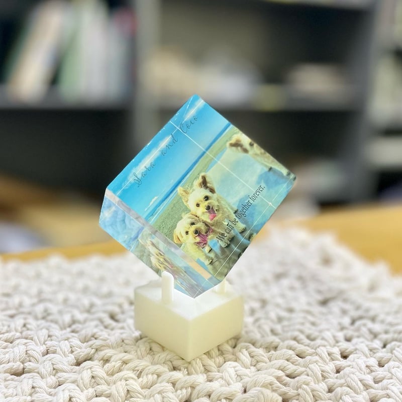 アクリルキューブ | あにまるぷりんといね