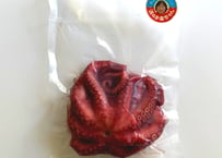 長島の浜のかあちゃんの 水産加工品 ゆでたこ / 100g