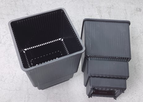 すごい根　大サイズ 　ロング(バラ売り)