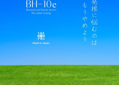 BH-10e