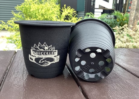 ISHECOLLE'Z POT MINI