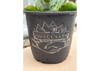 ISHECOLLE’Z POT
