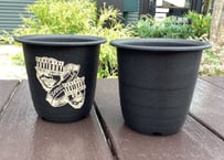 CONNOR'Z POT MINI